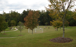 The park at Hamilton Mill